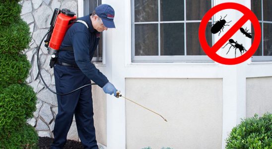 Basınsitesi Uçan Haşere İlaçlama böcek ilaçlama ve haşere kontrolü — ilaclama-tr.com